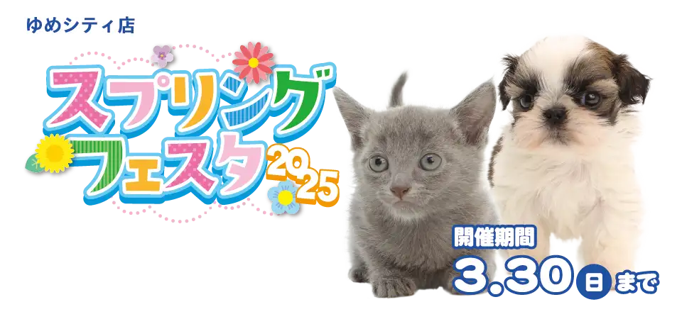【スプリングフェスタ 開催！！】山口県 ワンラブ ゆめシティ店 春の祭典開催！！3/15～3/30まで