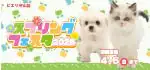 【スプリングフェスタ 開催！！】滋賀県 ワンラブ ピエリ守山店 春の祭典開催！！3/22～4/6まで｜ワンラブグループ