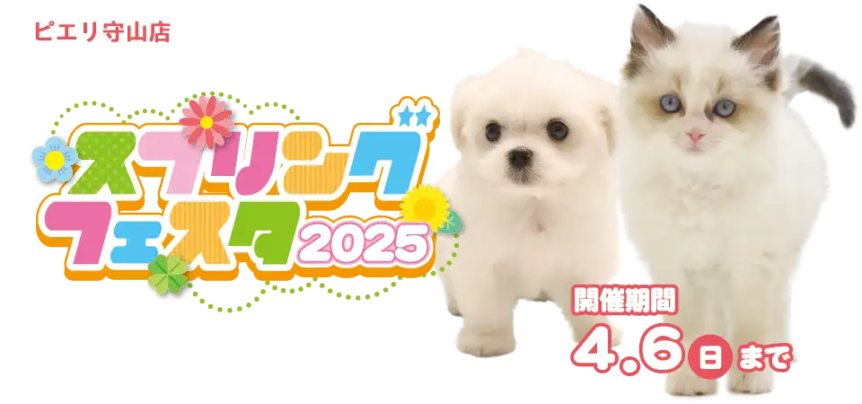 【スプリングフェスタ 開催！！】滋賀県 ワンラブ ピエリ守山店 春の祭典開催！！3/22～4/6まで｜ワンラブグループ