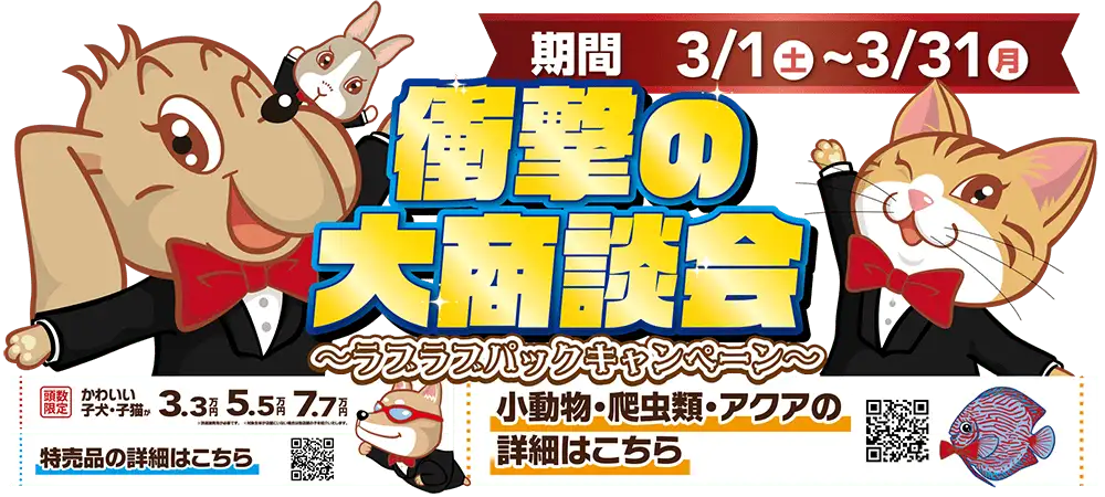 【衝撃の大商談会 延長開催！！】感謝を込めたワンラブ大商談会 ☆｜3/1～3/31まで
