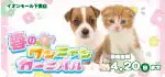 【春のワンニャンカーニバル 開催！！】茨城県 ワンラブ イオンモール下妻店 春のイベント開催！！4/5～4/20まで｜ワンラブグループ