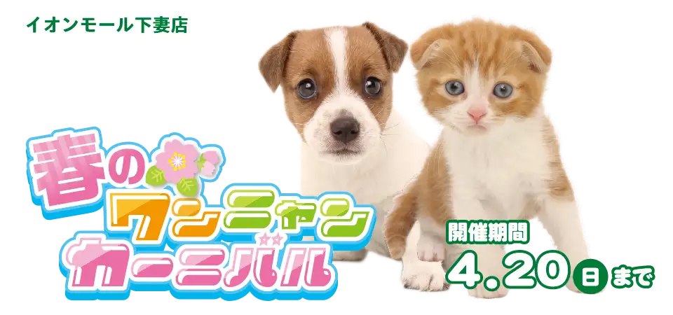 【春のワンニャンカーニバル 開催！！】茨城県 ワンラブ イオンモール下妻店 春のイベント開催！！4/5～4/20まで｜ワンラブグループ