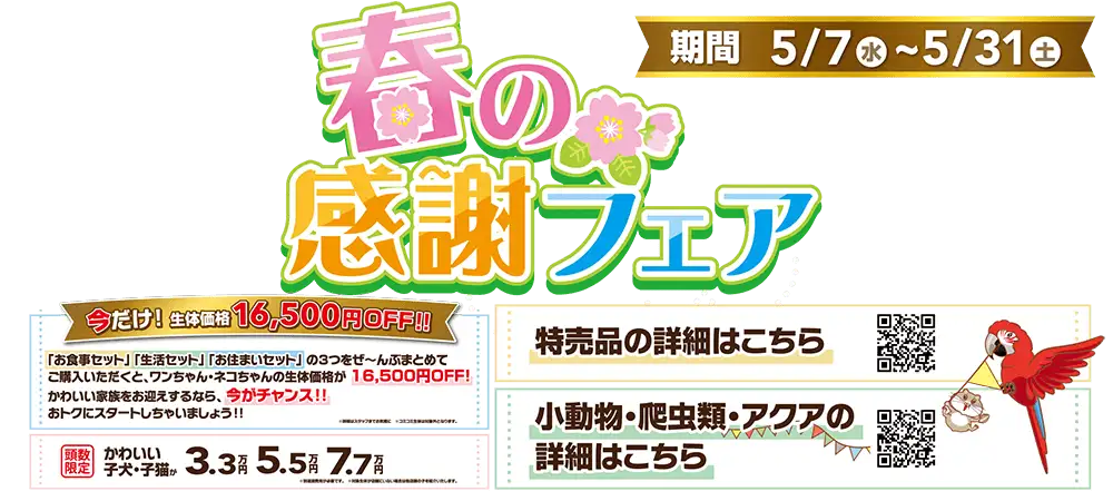 【春の感謝フェア 開催！！】全国のワンラブにて感謝フェアが開催中です！！｜5/7～5/31まで