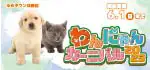 【わんにゃんカーニバル 開催！！】大分県 ワンラブ ゆめタウン別府店 春のイベント開催！！5/17～6/1まで｜ワンラブグループ