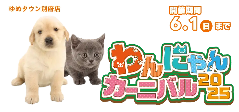 【わんにゃんカーニバル 開催！！】大分県 ワンラブ ゆめタウン別府店 春のイベント開催！！5/17～6/1まで｜ワンラブグループ