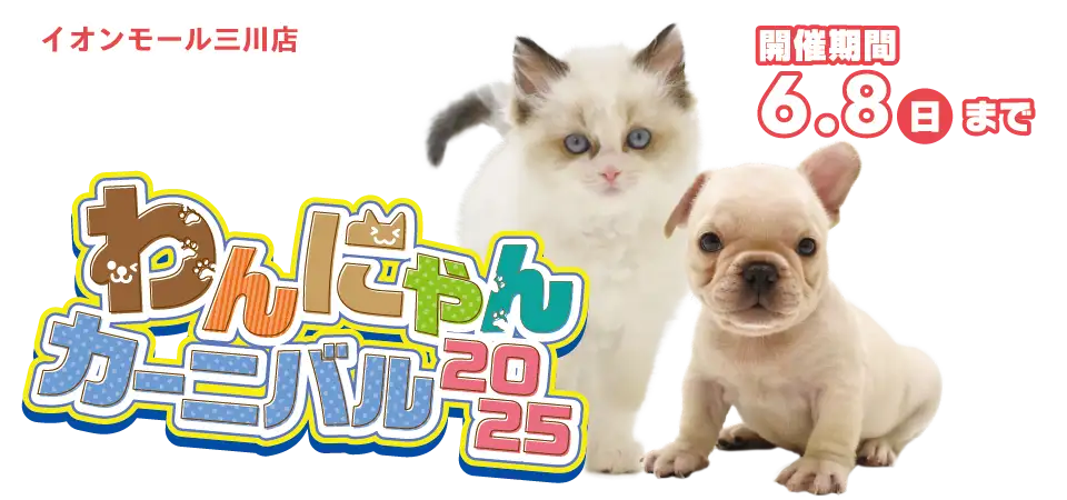 【わんにゃんカーニバル 開催！！】山形県 ワンラブ イオンモール三川店 春のイベント開催！！5/24～6/8まで｜ワンラブグループ