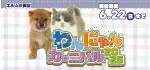 【わんにゃんカーニバル 開催！！】青森県 ワンラブ エルムの街店 わんにゃんイベント開催！！6/7～6/22まで｜ワンラブグループ
