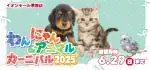 【わんにゃんカーニバル 開催！！】愛知県 ワンラブ イオンモール常滑店 わんにゃん・アニマルイベント開催！！6/14～6/29まで｜ワンラブグループ