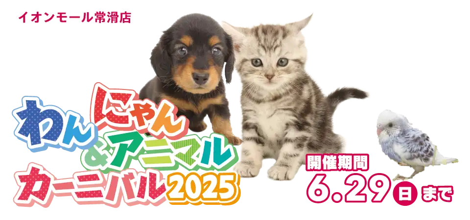 【わんにゃんカーニバル 開催！！】愛知県 ワンラブ イオンモール常滑店 わんにゃん・アニマルイベント開催！！6/14～6/29まで｜ワンラブグループ