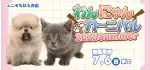 【わんにゃんカーニバル 開催！！】千葉県 ワンラブ ユニモちはら台店 わんにゃんイベント開催！！6/21～7/6まで｜ワンラブグループ