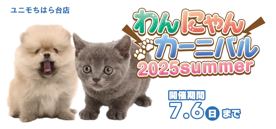 【わんにゃんカーニバル 開催！！】千葉県 ワンラブ ユニモちはら台店 わんにゃんイベント開催！！6/21～7/6まで｜ワンラブグループ