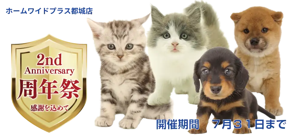 【祝!２周年記念祭 開催!!】宮崎県 ワンラブ ホームワイドプラス都城店&ペットワイド和白店合同イベント開催！！7/1～7/31まで｜ワンラブグループ