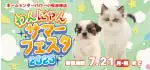 【わんにゃんサマーフェスタ 開催！！】愛知県 ワンラブ ホームセンターバロー小牧岩崎店 わんにゃんイベント開催！！7/5～7/21まで｜ワンラブグループ