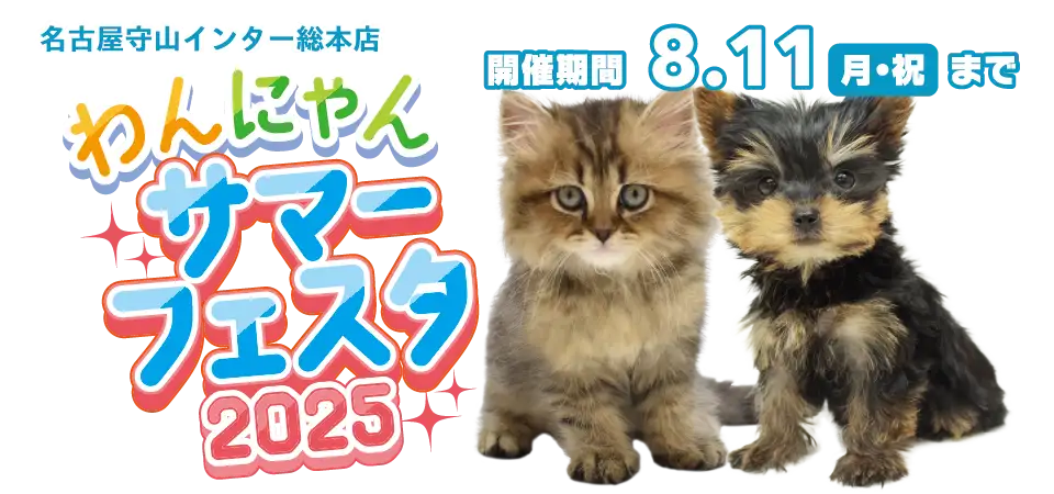 【わんにゃんサマーフェスタ開催！！】愛知県 ワンラブ 守山インター総本店 夏イベント開催！！7/26～8/11まで｜ワンラブグループ
