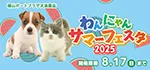 【わんにゃんサマーフェスタ開催！！】広島県 ワンラブ 福山ポートプラザ天満屋店 夏イベント開催！！8/2～8/17まで｜ワンラブグループ