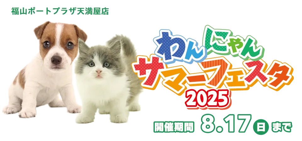 【わんにゃんサマーフェスタ開催！！】広島県 ワンラブ 福山ポートプラザ天満屋店 夏イベント開催！！8/2～8/17まで｜ワンラブグループ