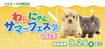 【わんにゃんサマーフェスタ開催！！】栃木県 ワンラブ ベルモール宇都宮店 夏イベント開催！！8/9～8/24まで｜ワンラブグループ
