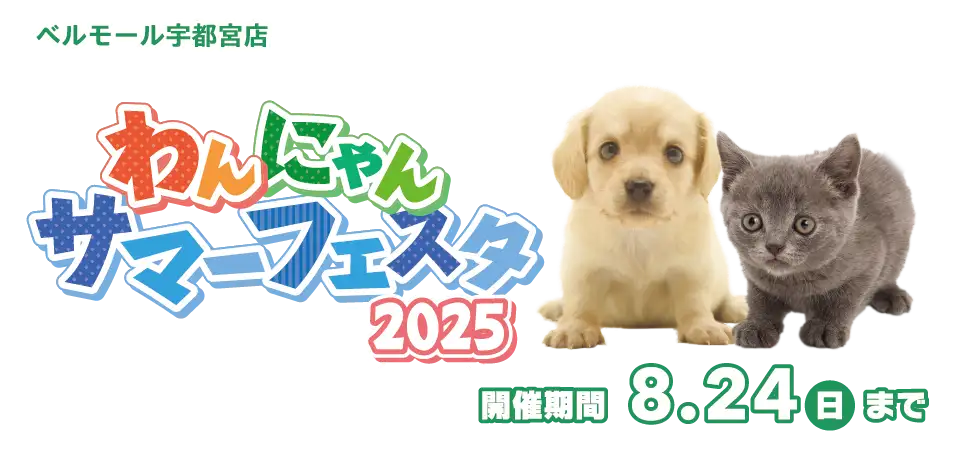 【わんにゃんサマーフェスタ開催！！】栃木県 ワンラブ ベルモール宇都宮店 夏イベント開催！！8/9～8/24まで｜ワンラブグループ