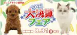 【大決算フェア 開催！！】福井県 ワンラブ フレンドタウン福井店 大決算イベント開催！！8/16～8/31まで｜ワンラブグループ