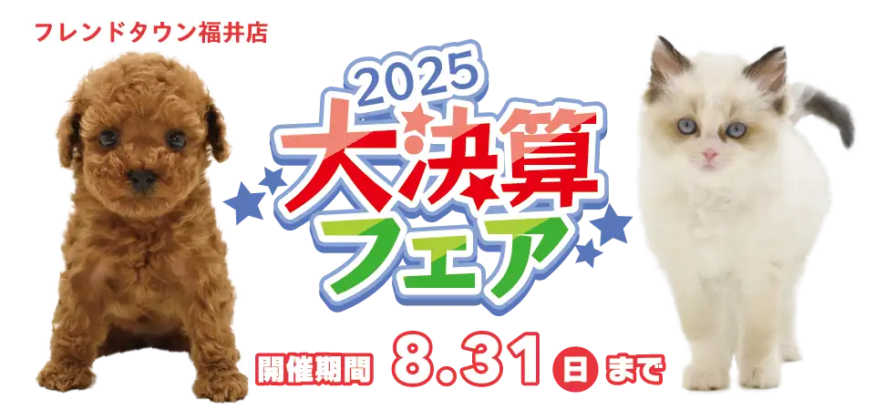 【大決算フェア 開催！！】福井県 ワンラブ フレンドタウン福井店 大決算イベント開催！！8/16～8/31まで｜ワンラブグループ