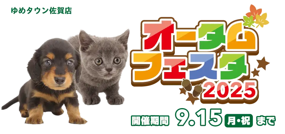 【オータムフェスタ 開催！！】佐賀県 ワンラブ ゆめタウン佐賀店 イベント開催！！8/30～9/15まで｜ワンラブグループ