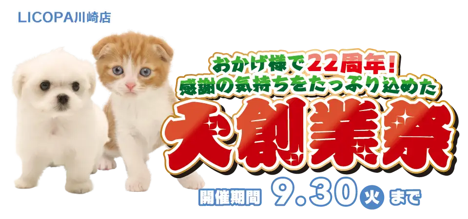 【大創業祭 開催！！】神奈川県 ワンラブ LICOPA川崎店 感謝イベント開催！！9/20～9/30まで｜ワンラブグループ