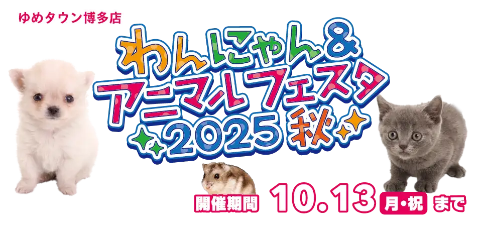 【わんにゃん&アニマル秋フェスタ 開催！！】福岡県 ワンラブ ゆめタウン博多店 秋の感謝イベント開催！！9/27～10/13まで｜ワンラブグループ