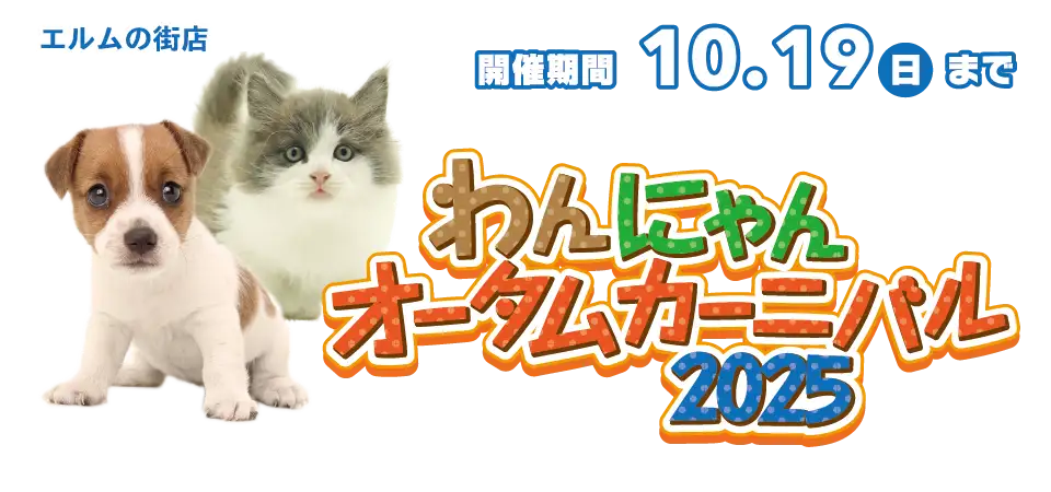 【わんにゃんオータムカーニバル 開催！！】青森県 ワンラブ エルムの街店 秋の感謝イベント開催！！10/4～10/19まで｜ワンラブグループ
