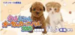 【わんにゃん オータムカーニバル開催！！】岩手県 ワンラブ イオンモール盛岡店 秋の感謝イベント開催！！