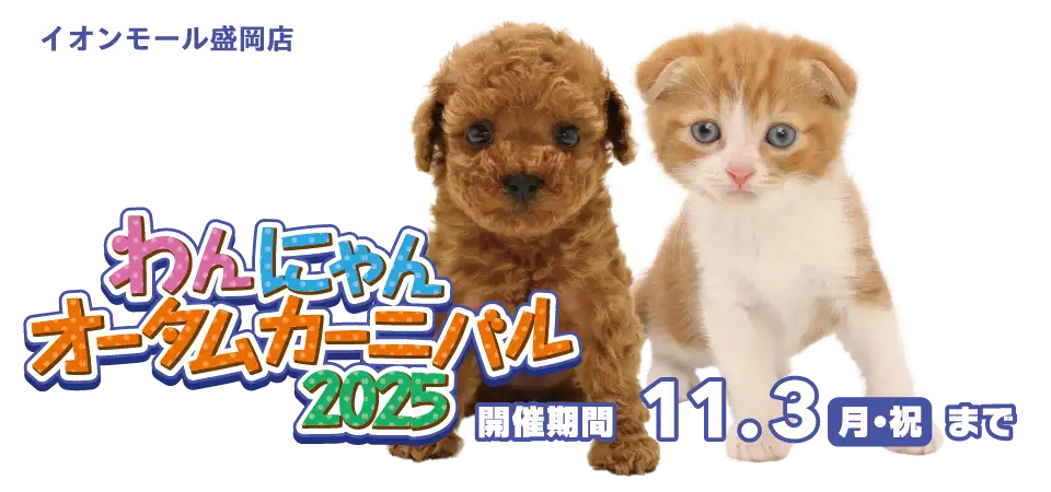 【わんにゃん オータムカーニバル開催！！】岩手県 ワンラブ イオンモール盛岡店 秋の感謝イベント開催！！