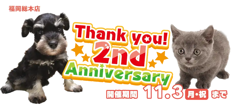【祝！２周年記念！！】福岡県 ワンラブ 福岡総本店 ２周年感謝イベント開催！！10/25～11/3まで｜ワンラブグループ