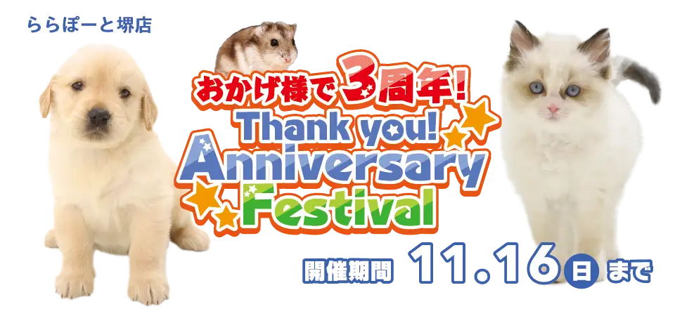【祝！３周年記念！！】大阪府 ワンラブ ららぽーと堺店 ３周年感謝イベント開催！！11/1～11/16まで｜ワンラブグループ