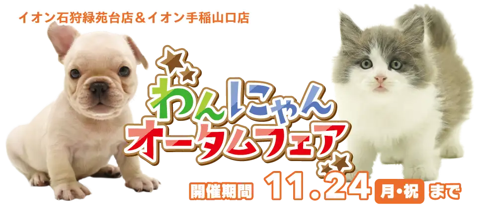 【わんにゃんオータムフェア開催!!】北海道 ワンラブ イオン石狩緑苑台店＆イオン手稲山口店 フェア開催!! 11/8～11/24まで