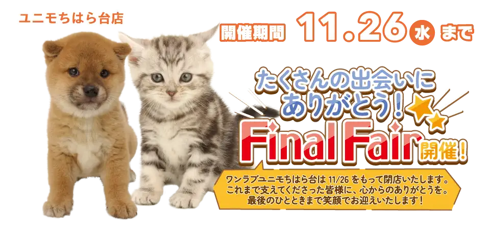 【FinalFAIR】千葉県 ワンラブ ユニモちはら台店 たくさんの出会いにありがとう！！11/15～11/26まで｜ワンラブグループ