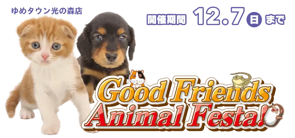 【GoodFriends Animal Festa!!】熊本県 ワンラブ ゆめタウン光の森店 アニマルフェスタ開催！！11/22～12/7まで｜ワンラブグループ