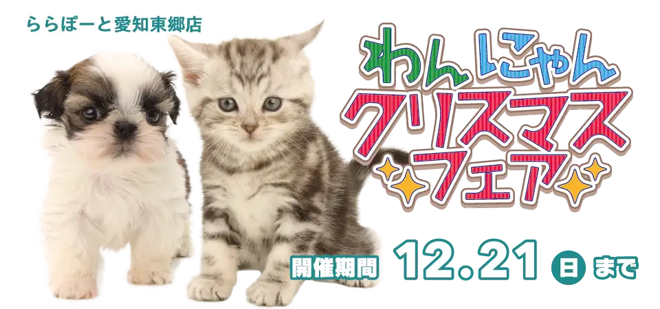 【わんにゃんクリスマスフェア!!】愛知県 ワンラブ ららぽーと東郷店 クリスマスイベント開催！！12/6～12/21まで｜ワンラブグループ