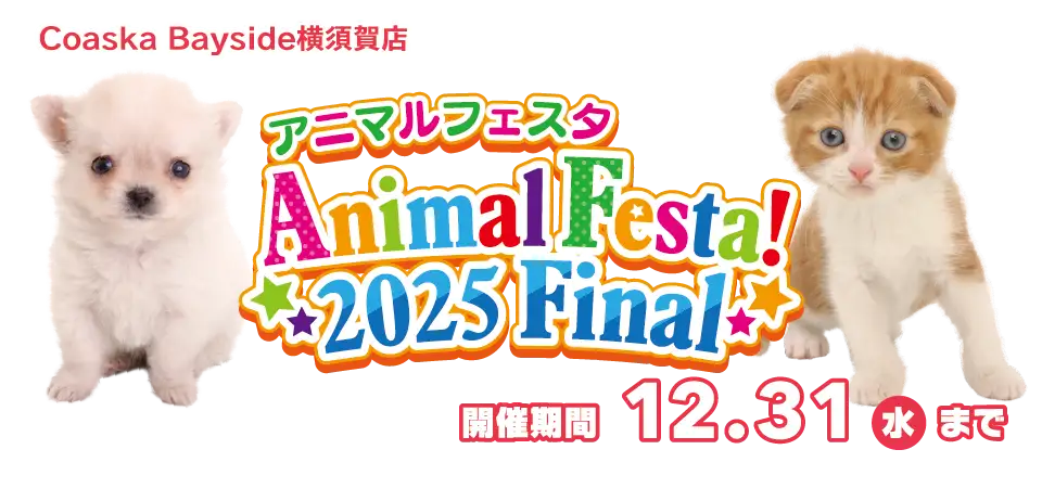 【アニマルフェスタ2025ファイナル 開催!!】神奈川県 ワンラブ コースカベイサイド横須賀店 フェア開催!! 12/20～12/31まで