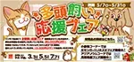 【多頭飼い応援フェア 開催！！】うちの子のお友達をワンラブでお迎えしませんか♪ ｜5/7～5/31まで
