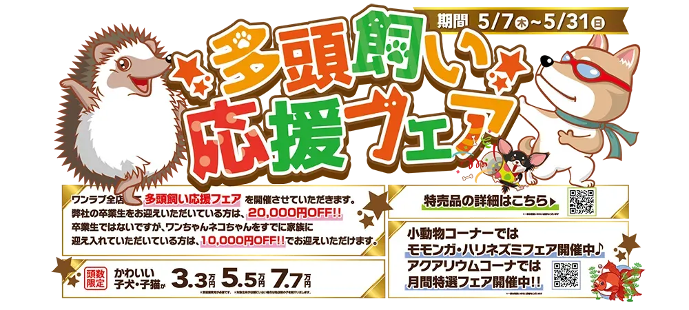 【多頭飼い応援フェア 開催！！】うちの子のお友達をワンラブでお迎えしませんか♪ ｜5/7～5/31まで