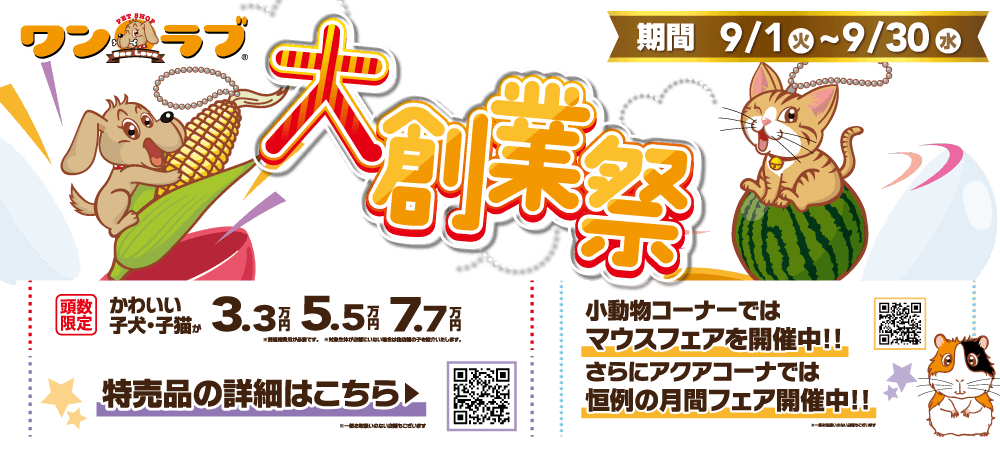 【ありがとう！23周年創業祭 開催！！】23年の感謝を込めたワンラブ創業祭 ☆｜9/1～9/30まで