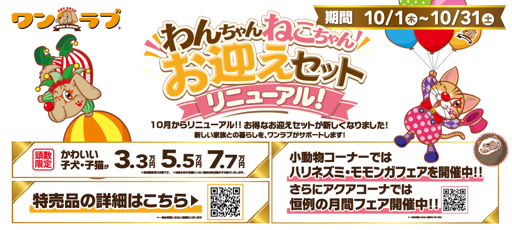 【オータムフェア！！】ワンラブお迎えセットもリニューアル！秋祭り開催中｜10/1～10/31まで