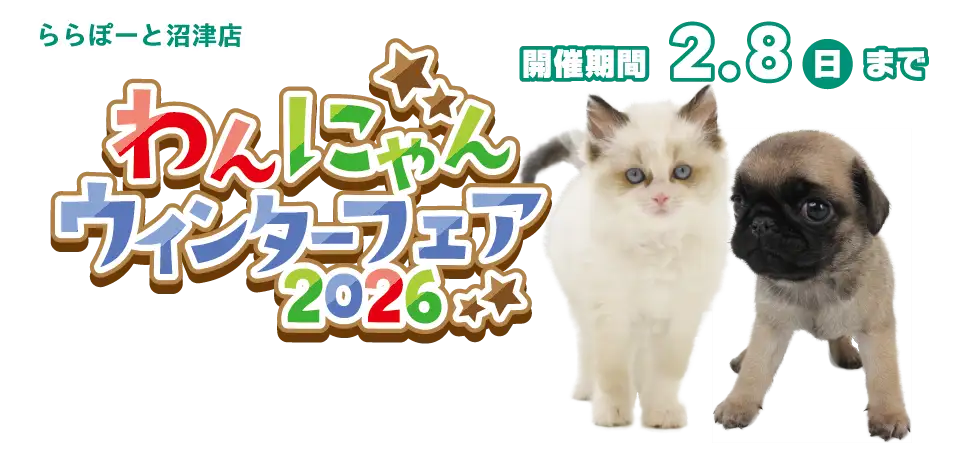 【わんにゃんウィンターフェア2026 開催!!】静岡県 ワンラブ ららぽーと沼津店 フェア開催!! 1/24～2/8まで