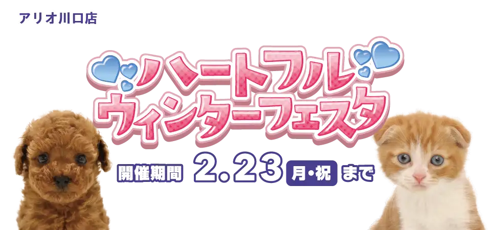 【ハートフルウィンターフェスタ 開催!!】埼玉県 ワンラブ アリオ川口店 フェア開催!! 2/7～2/23まで