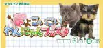 【春よこいこい☆わんにゃんフェスタ 開催!!】長崎県 ワンラブ ゆめタウン夢彩都店 フェア開催!! 2/14～3/1まで