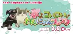 【春よこいこい☆わんにゃんフェスタ 開催!!】東京・神奈川 ワンラブ ららぽーと海老名・立川立飛店合同 フェア開催!! 2/21～3/8まで