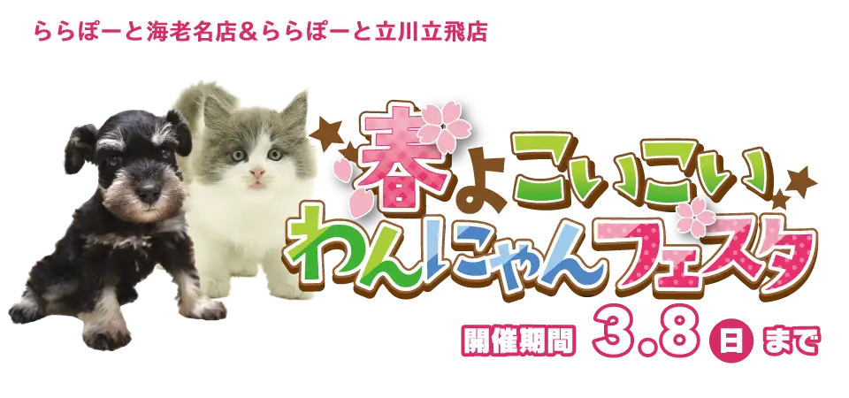 【春よこいこい☆わんにゃんフェスタ 開催!!】東京・神奈川 ワンラブ ららぽーと海老名・立川立飛店合同 フェア開催!! 2/21～3/8まで