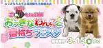 【おっきなわんこフェスタ 開催！！】愛知県 ワンラブ おっきなもふもふ応援隊 おっきなわんこと春待ちフェスタ開催！！2/28～3/15まで｜ワンラブグループ