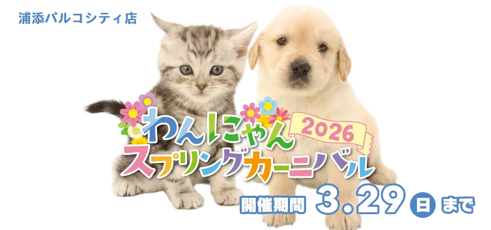 【わんにゃんスプリングカーニバル 開催！！】沖縄県 ワンラブ 浦添パルコシティ店 イベント開催！！3/14～3/29まで｜ワンラブグループ