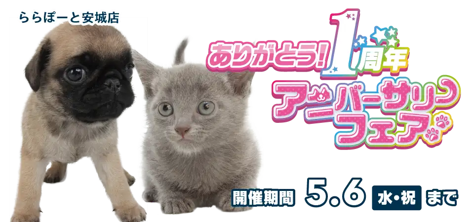【祝！ありがとう１周年！！】愛知県 ワンラブ ららぽーと安城店 １周年アニバーサリーフェア開催！！4/18～5/6まで｜ワンラブグループ
