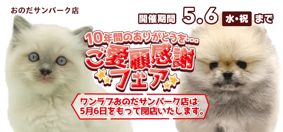 【ご愛顧感謝フェア！！】山口県 おのだサンパーク店 10年間のありがとう感謝祭開催！！ 4/18～5/6まで｜ワンラブグループ